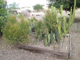 Bring gloves, too.  We have lots of pots and containers for sale
