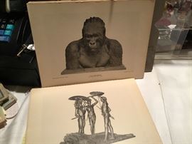 Book' Taxidermy and Sculpture. The World of Carl E. Akeley in Field Museum of Natural History 