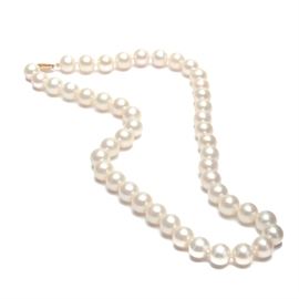 Cultured Pearl Single Strand Necklace with 14K Yellow Gold Clasp: A cultured pearl single strand necklace with knotted spacers and ending with a 14K yellow gold clasp.
