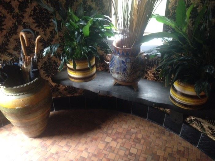 Plants pot and umbrella stand