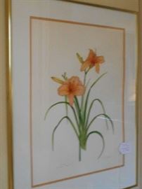 watercolor botanical, Jan Molpus