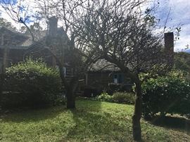 Stop By & Say Hello! 