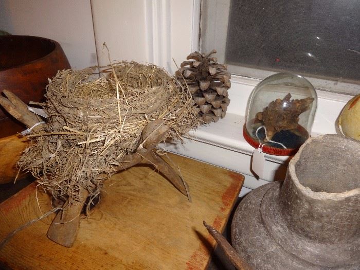 Bird nest on carved wood snakes stand; burl specimen in dome; etc.
