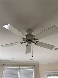 Ceiling fans and light fixtures throughout the house are for sale.  