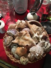 Basket of sea shells