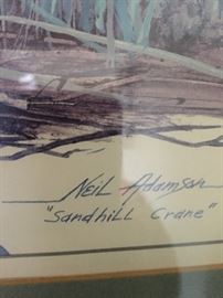 Sandhill Crane by Neil Adamsh