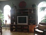 entertainment center