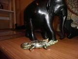 Cute as a bug alligator