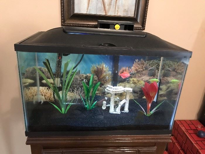 10 gallon fish tank, complete with fish and cleaning supplies!