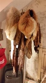 Lots of vintage furs, several fox and mink.