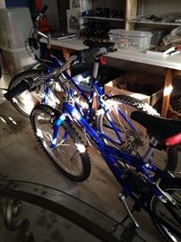 Two blue bikes