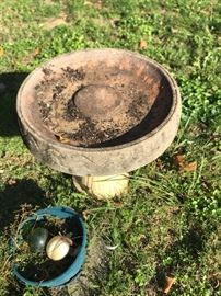 Clean up your local birds...