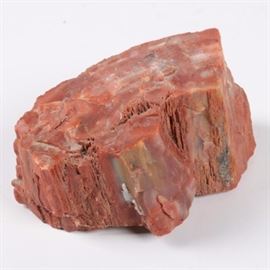 Petrified Wood Specimen: A petrified wood specimen. This specimen of petrified wood displays permineralization that has obscured most of the original internal structure of the wood. No collection locality information is provided for this specimen.