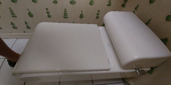Bathroom equipment off-white color: $100
Modern low profile Kohler rectangular toilet with lid, seat, tank lid & plumbing:
Overall dimensions: 30.5x16.5
To top of Tanks: 20.5
Top of seat 15.25