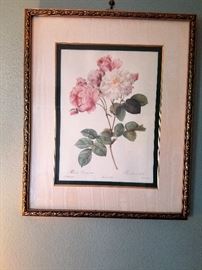 Vintage matted and framed print