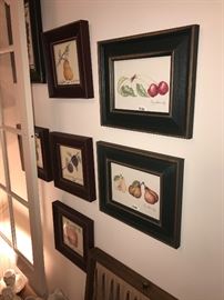 Assorted Framed Fruit Art