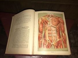 1906 Medicology Book With Lift Up Ilustrations