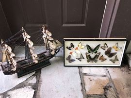 Model Ship  & Preserved Butterflies Wall Hanging
