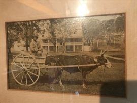 Black and White Photographs