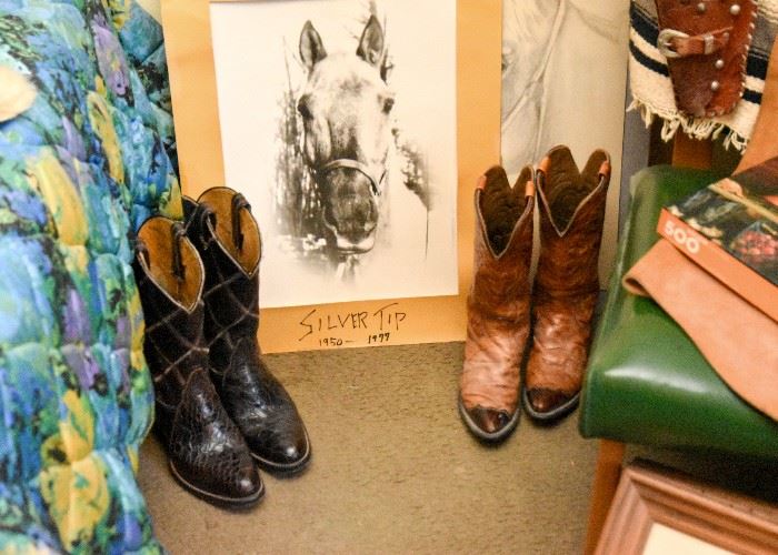 Cowboy Boots, Horse Drawing