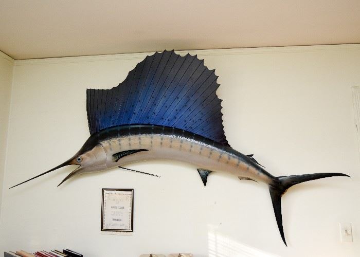 Taxidermy Swordfish