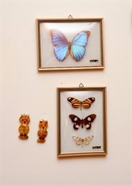Mounted Butterfly Taxidermy / Wall Hangings