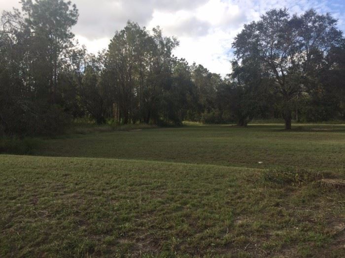 Real Estate Lot Auction in Groveland, FL starts on 11/3/2017