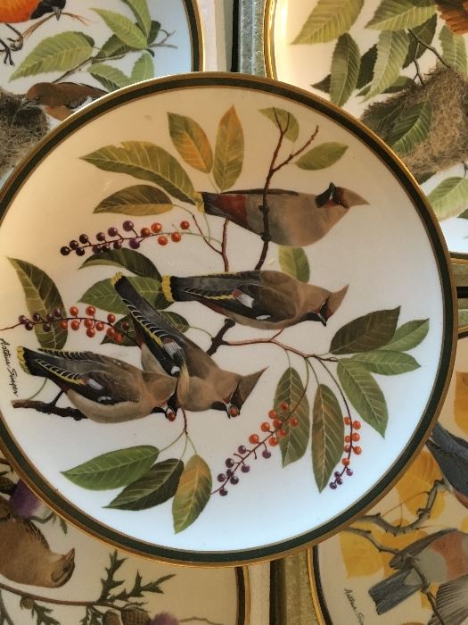 Franklin Mint Audubon Society Porcelain Plates 
" Songbirds of the World"
5 plates