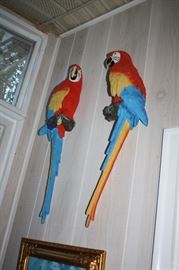 More parrots