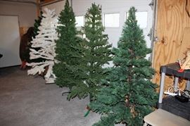 Several vintage mid-century Christmas trees.