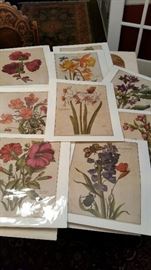 Beautiful Botanical Prints