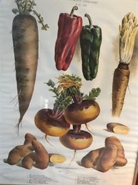 One of a set of six antique French prints