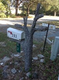 Concrete "tree" mailbox $ 100.00