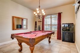 Pool table and accessories, salt water fish tank, mirror.