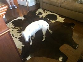 Cow hide rug.  (Dog not for sale.)