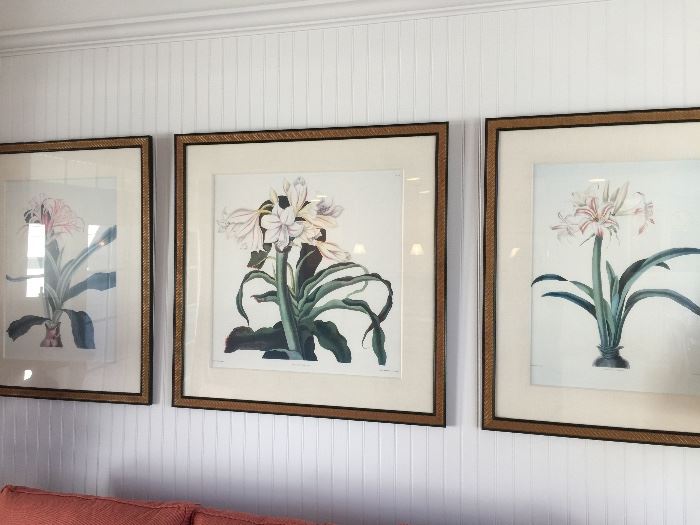 Elegant Ballymeade Sale in East Falmouth, MA starts on 11/10/2017