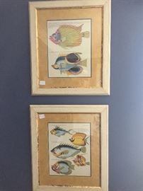 Fish Prints