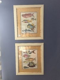 Fish Prints