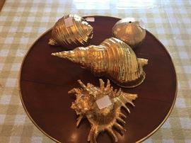 Gold Dipped Shells