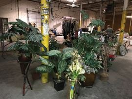 Plants, plants and more plants.