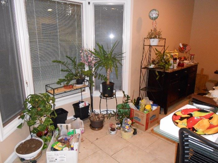 Various plants/plant stands