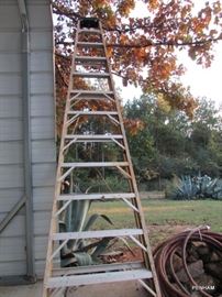 3 ladders available, Husky