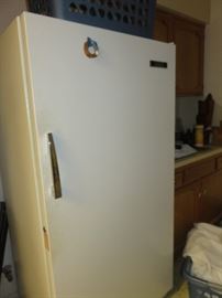 Upright Freezer