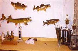 Fish Mounts