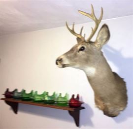 Deer Mount & Glass Chickens