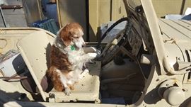 Austin champ driver not included