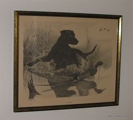 Glenn Gore limited Edition Scratchboard etching