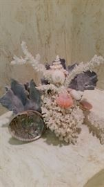 Seashell Sculpture