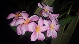 There is beauty in every day and a treasure to find if you are looking for one!