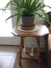 Another Wood Side Table, Lots of Plants for sale...